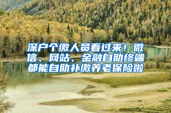 深户个缴人员看过来！微信、网站、金融自助终端都能自助补缴养老保险啦