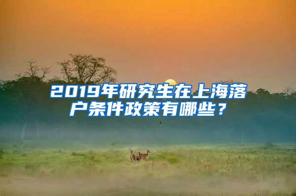 2019年研究生在上海落户条件政策有哪些？