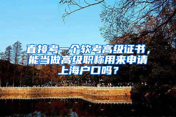 直接考一个软考高级证书，能当做高级职称用来申请上海户口吗？