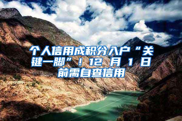 个人信用成积分入户“关键一脚”！12 月 1 日前需自查信用