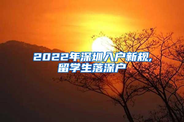 2022年深圳入户新规,留学生落深户