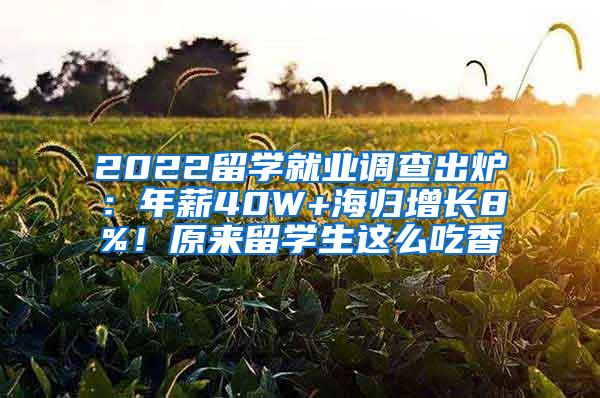 2022留学就业调查出炉：年薪40W+海归增长8%！原来留学生这么吃香