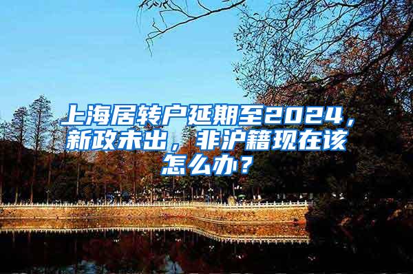 上海居转户延期至2024，新政未出，非沪籍现在该怎么办？