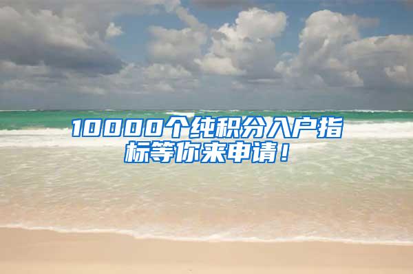 10000个纯积分入户指标等你来申请！