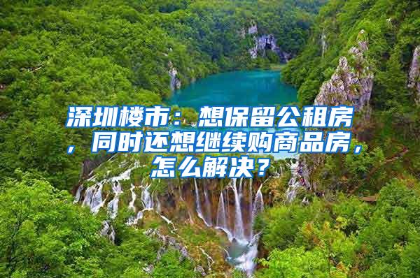 深圳楼市：想保留公租房，同时还想继续购商品房，怎么解决？