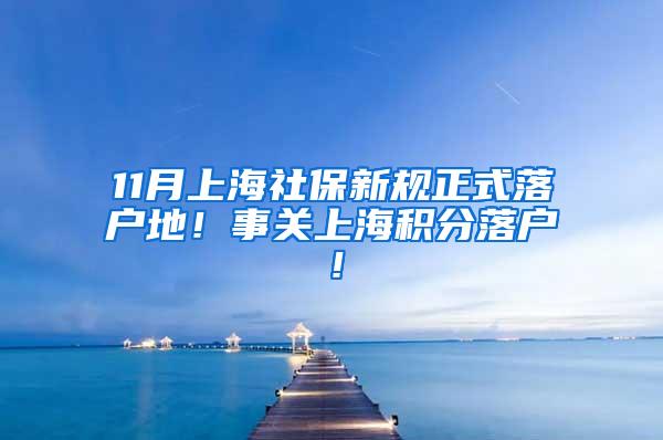 11月上海社保新规正式落户地！事关上海积分落户！