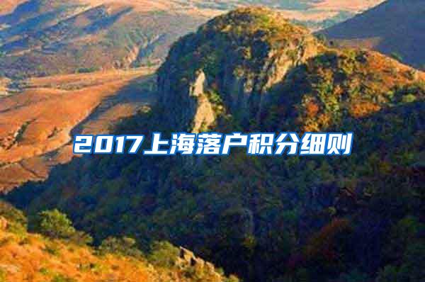 2017上海落户积分细则