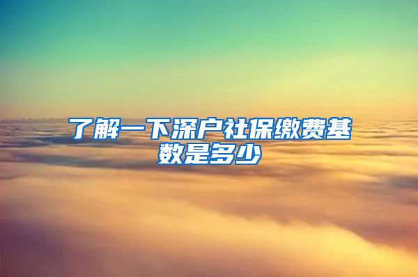 了解一下深户社保缴费基数是多少