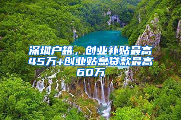 深圳户籍，创业补贴最高45万+创业贴息贷款最高60万