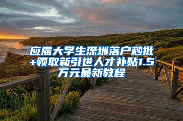 应届大学生深圳落户秒批+领取新引进人才补贴1.5万元最新教程