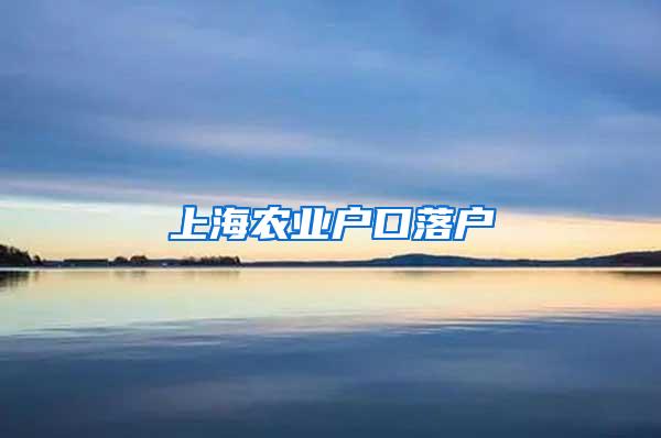 上海农业户口落户