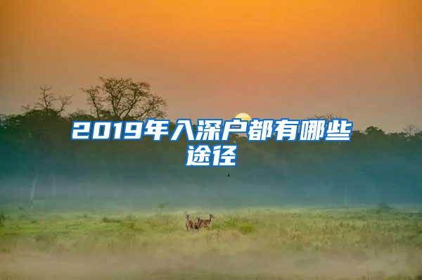 2019年入深户都有哪些途径