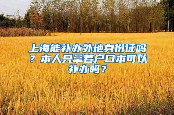 上海能补办外地身份证吗？本人只拿着户口本可以补办吗？