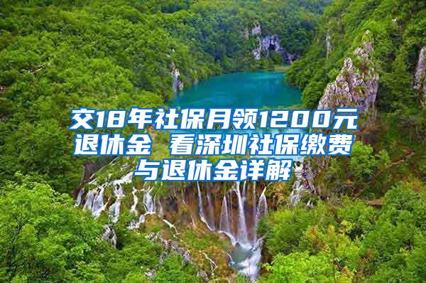 交18年社保月领1200元退休金 看深圳社保缴费与退休金详解