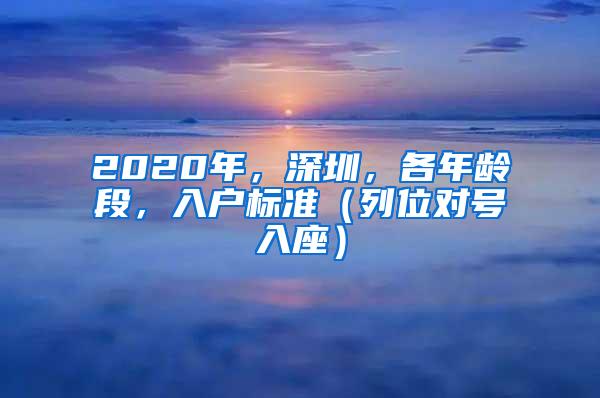 2020年，深圳，各年龄段，入户标准（列位对号入座）