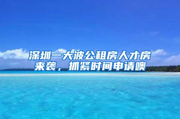 深圳一大波公租房人才房来袭，抓紧时间申请噢