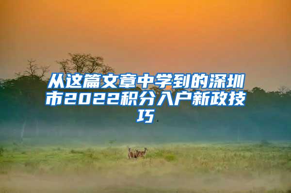 从这篇文章中学到的深圳市2022积分入户新政技巧