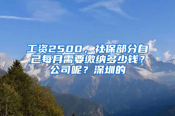 工资2500，社保部分自己每月需要缴纳多少钱？公司呢？深圳的