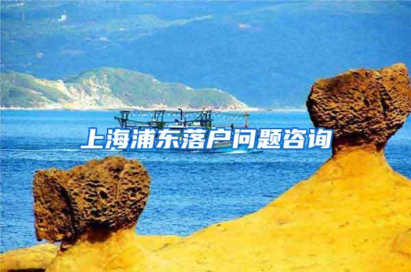 上海浦东落户问题咨询