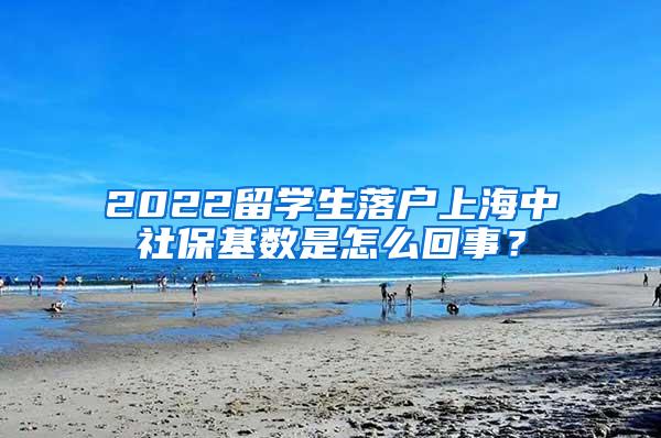 2022留学生落户上海中社保基数是怎么回事？