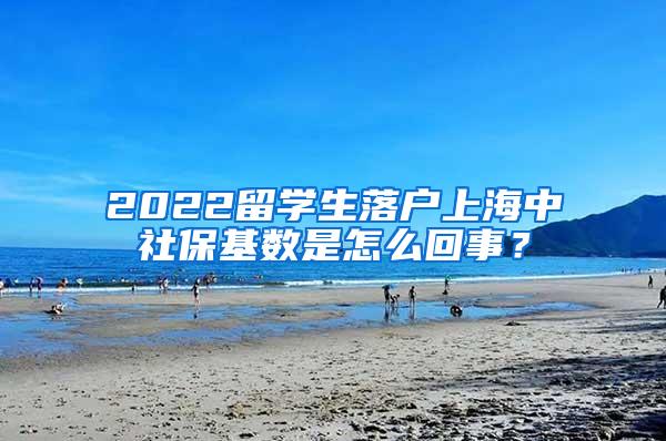 2022留学生落户上海中社保基数是怎么回事？