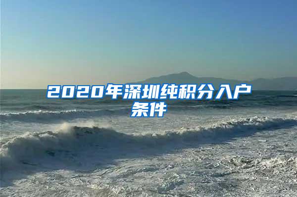 2020年深圳纯积分入户条件