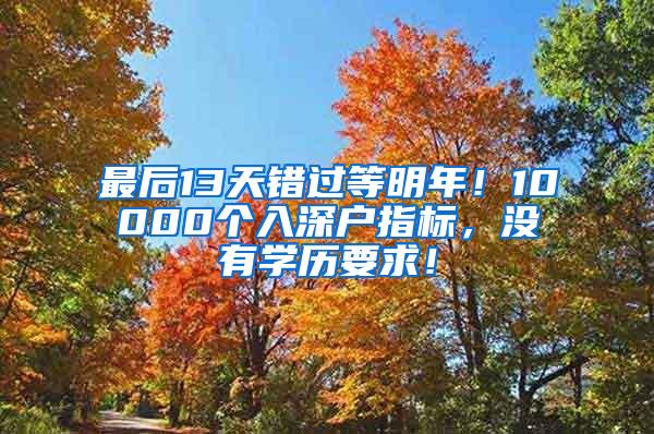 最后13天错过等明年！10000个入深户指标，没有学历要求！