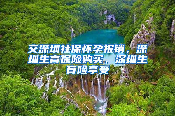 交深圳社保怀孕报销，深圳生育保险购买，深圳生育险享受