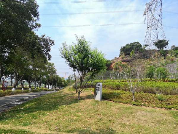 二级建造师能在海口落户吗