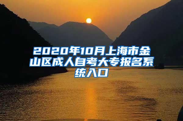 2020年10月上海市金山区成人自考大专报名系统入口