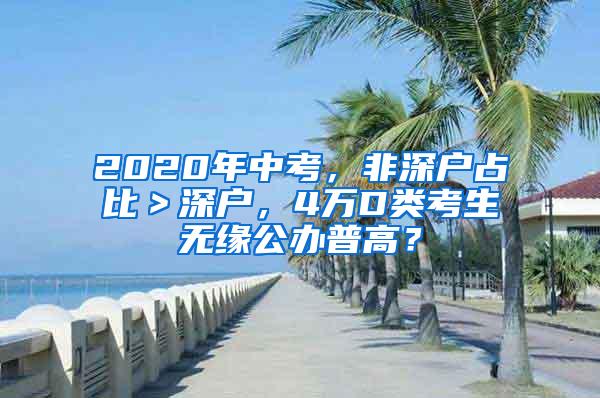 2020年中考，非深户占比＞深户，4万D类考生无缘公办普高？