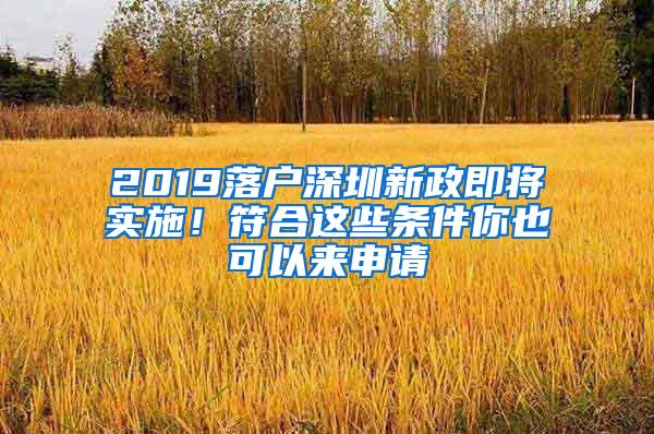 2019落户深圳新政即将实施！符合这些条件你也可以来申请