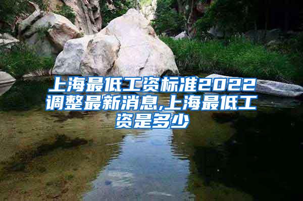 上海最低工资标准2022调整最新消息,上海最低工资是多少