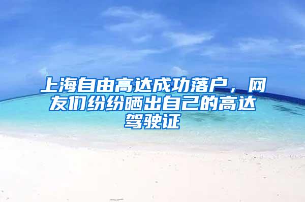 上海自由高达成功落户，网友们纷纷晒出自己的高达驾驶证