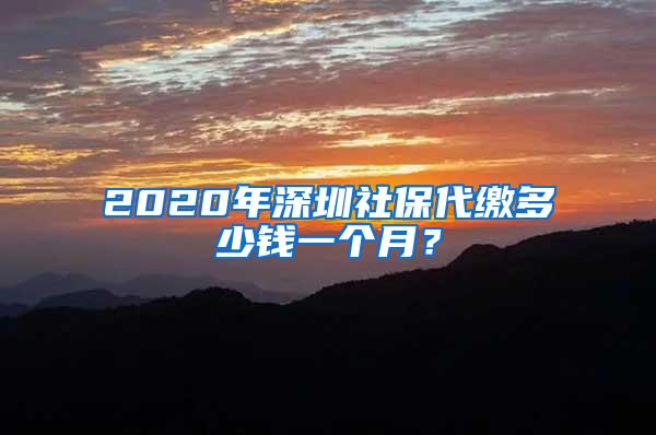 2020年深圳社保代缴多少钱一个月？