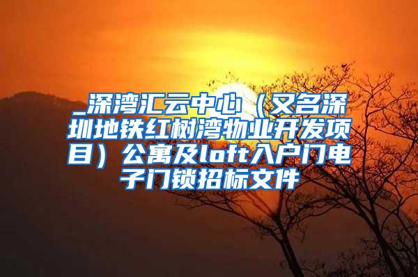 _深湾汇云中心（又名深圳地铁红树湾物业开发项目）公寓及loft入户门电子门锁招标文件