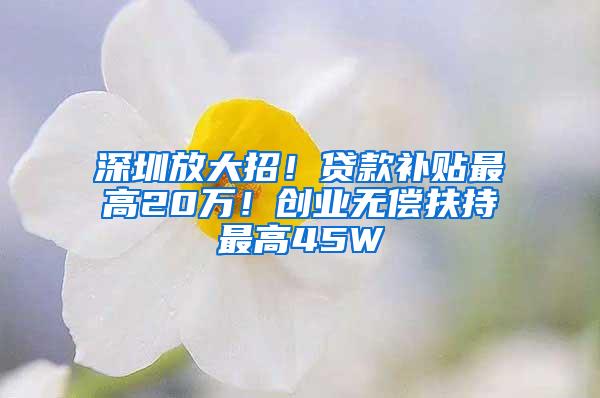 深圳放大招！贷款补贴最高20万！创业无偿扶持最高45W