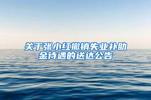 关于张小红撤销失业补助金待遇的送达公告