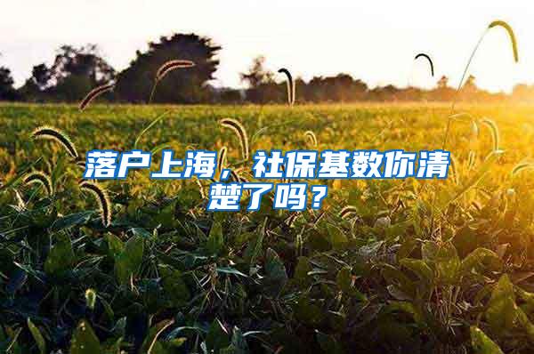 落户上海，社保基数你清楚了吗？