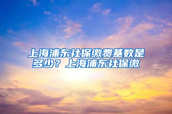 上海浦东社保缴费基数是多少？上海浦东社保缴