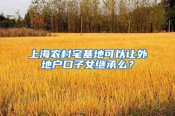 上海农村宅基地可以让外地户口子女继承么？