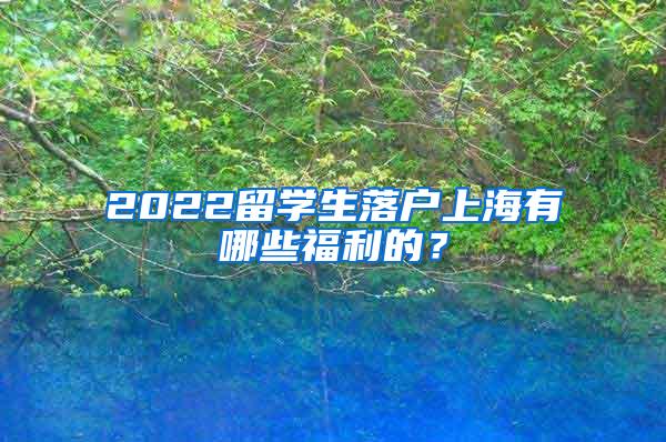 2022留学生落户上海有哪些福利的？