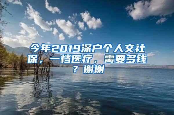 今年2019深户个人交社保，一档医疗，需要多钱？谢谢