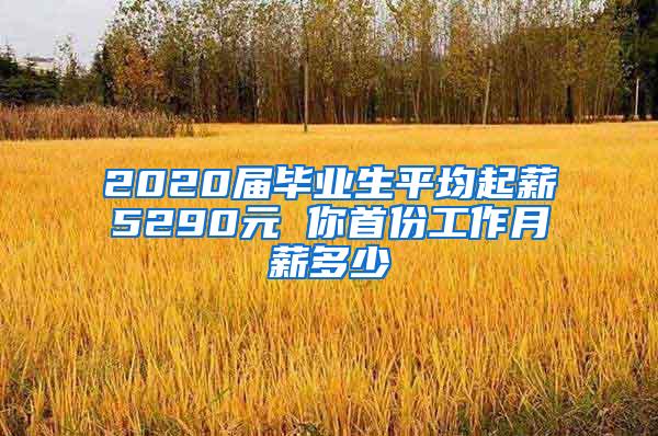 2020届毕业生平均起薪5290元 你首份工作月薪多少