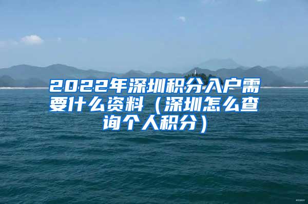 2022年深圳积分入户需要什么资料（深圳怎么查询个人积分）