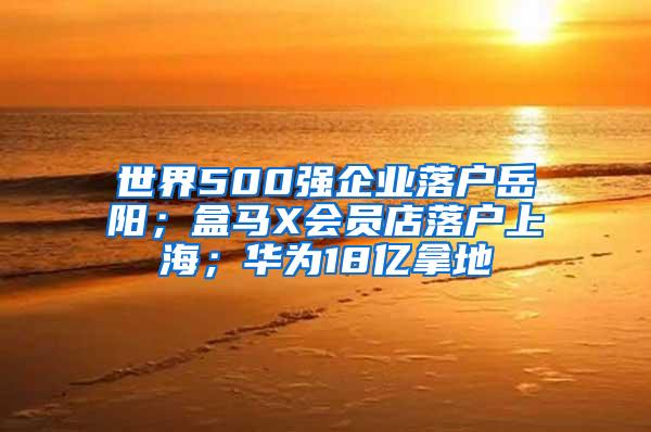 世界500强企业落户岳阳；盒马X会员店落户上海；华为18亿拿地