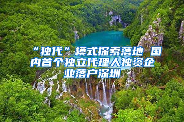 “独代”模式探索落地 国内首个独立代理人独资企业落户深圳