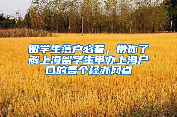 留学生落户必看，带你了解上海留学生申办上海户口的各个经办网点