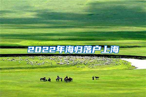 2022年海归落户上海