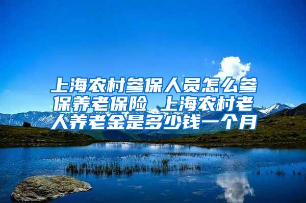 上海农村参保人员怎么参保养老保险 上海农村老人养老金是多少钱一个月